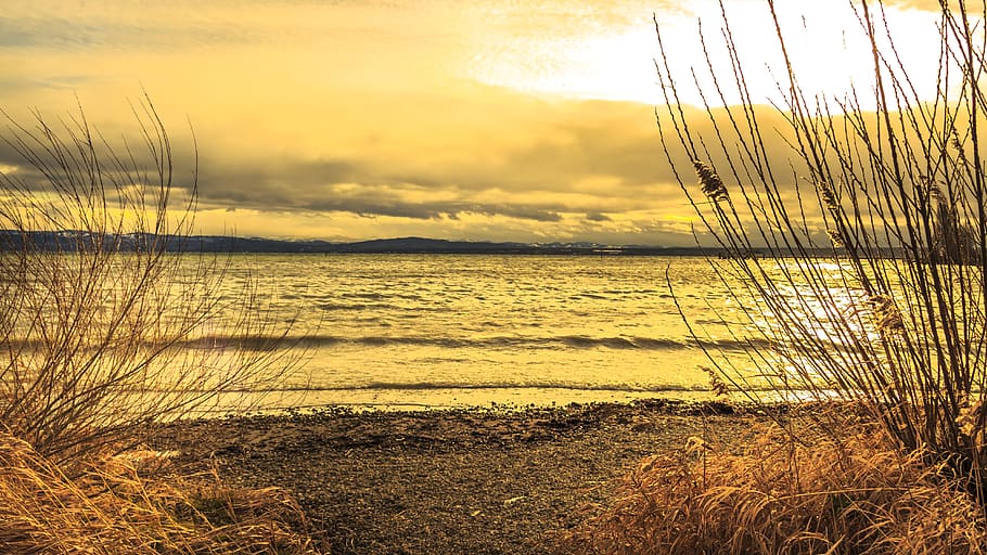 lake constance, immenstaad, stormy, wave, nature, waters, sky HD wallpaper