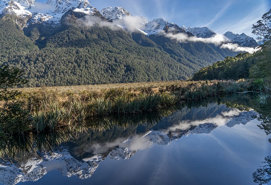 new zealand, fiordland national park, mirror lakes, field, reflection