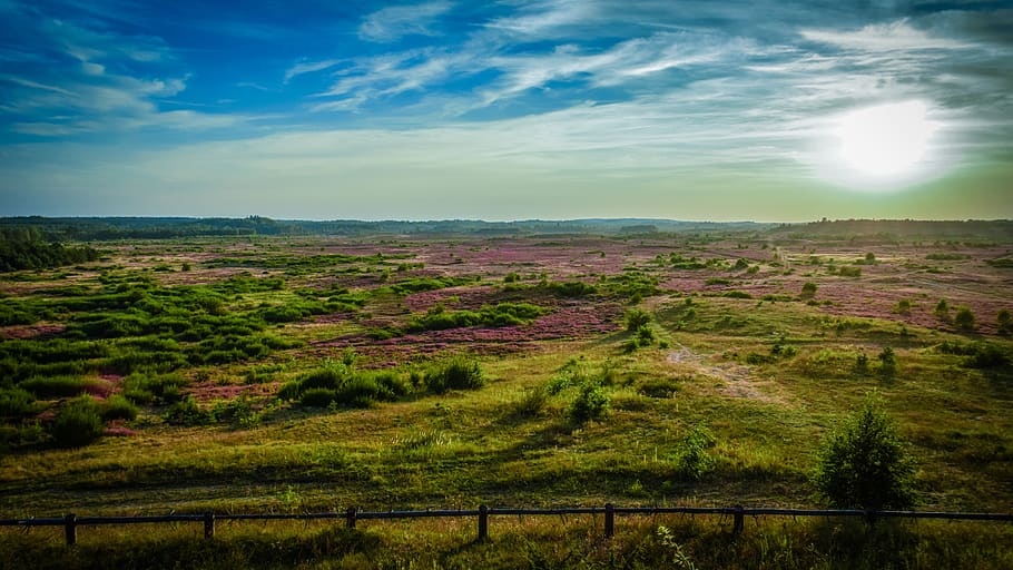 nature, sunset, landscape, training grounds, heather, sky, environment HD wallpaper