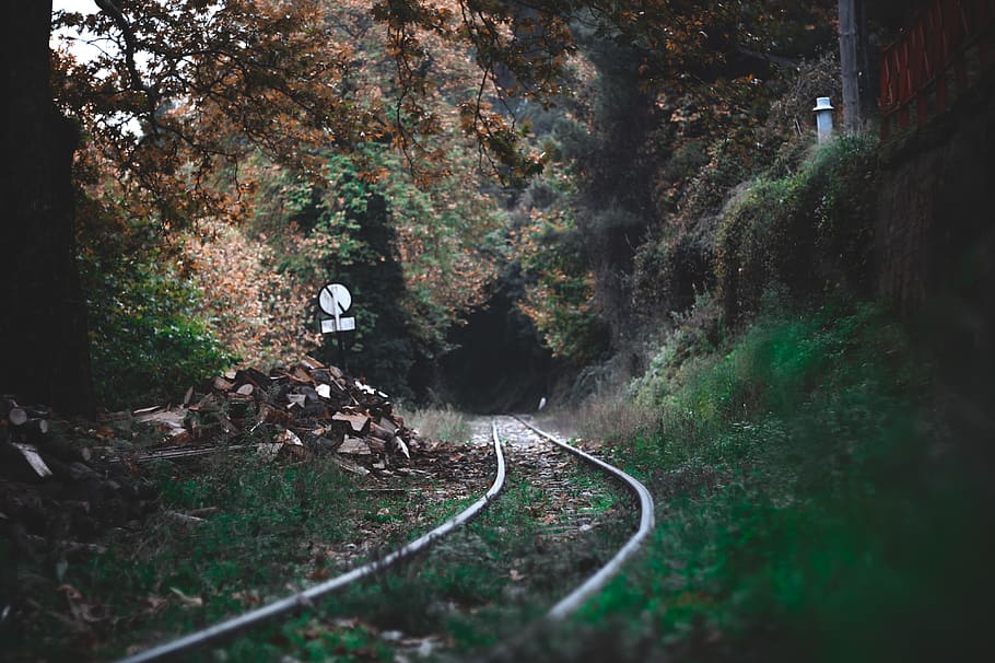 railroad surrounded with trees, train track, railway, transportation HD wallpaper