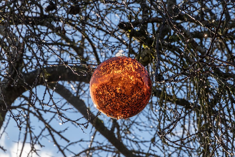 christmas bauble, winter, branches, tree, decoration, glitter HD wallpaper