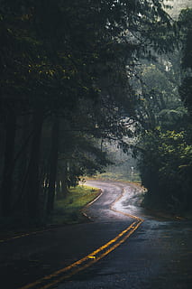 Photography of Asphalt Road Near Trees, branches, curves, environment HD wallpaper