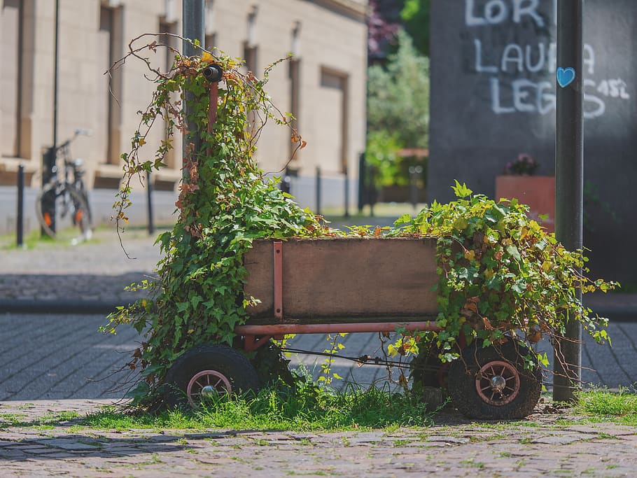 handcart, foliage, plant, day, transportation, city, building exterior HD wallpaper