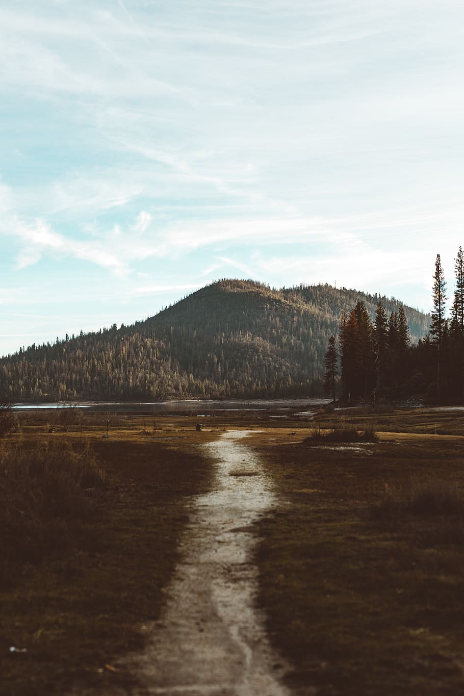 pathway facing mountain, sky, plant, tranquility, tree, scenics - nature HD wallpaper