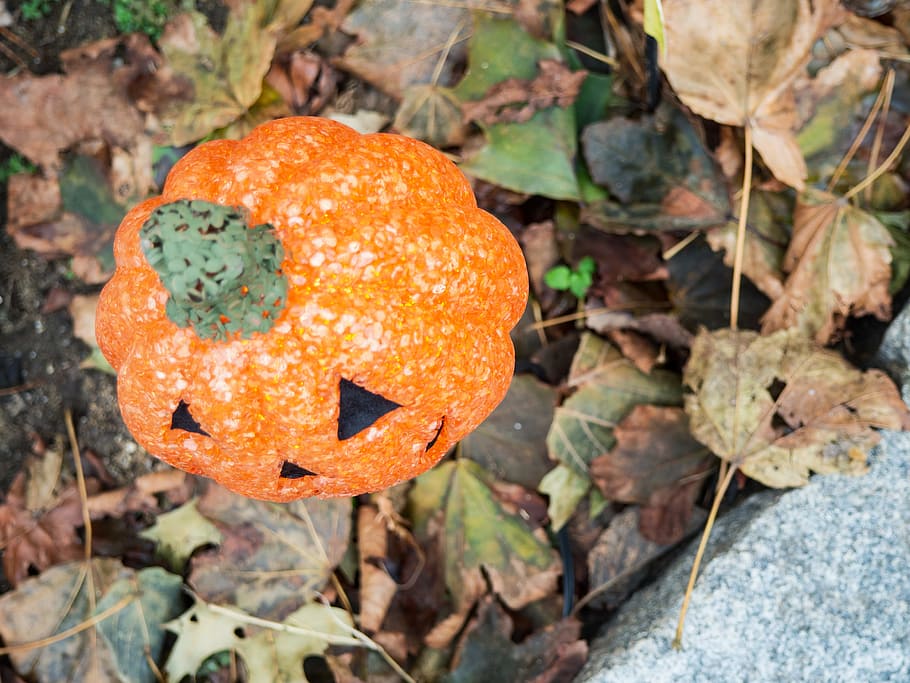Pumpkin Light, Fall, Holidays, Objects, black, decoration, ground HD wallpaper