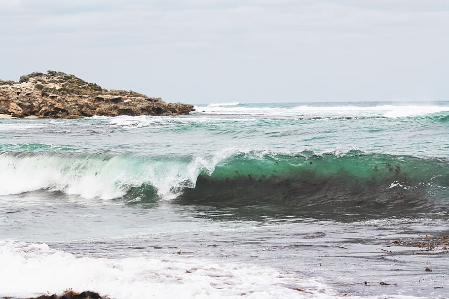 waves, surf, surfer, surfers, surfing, sea, sea foam, ocean HD wallpaper