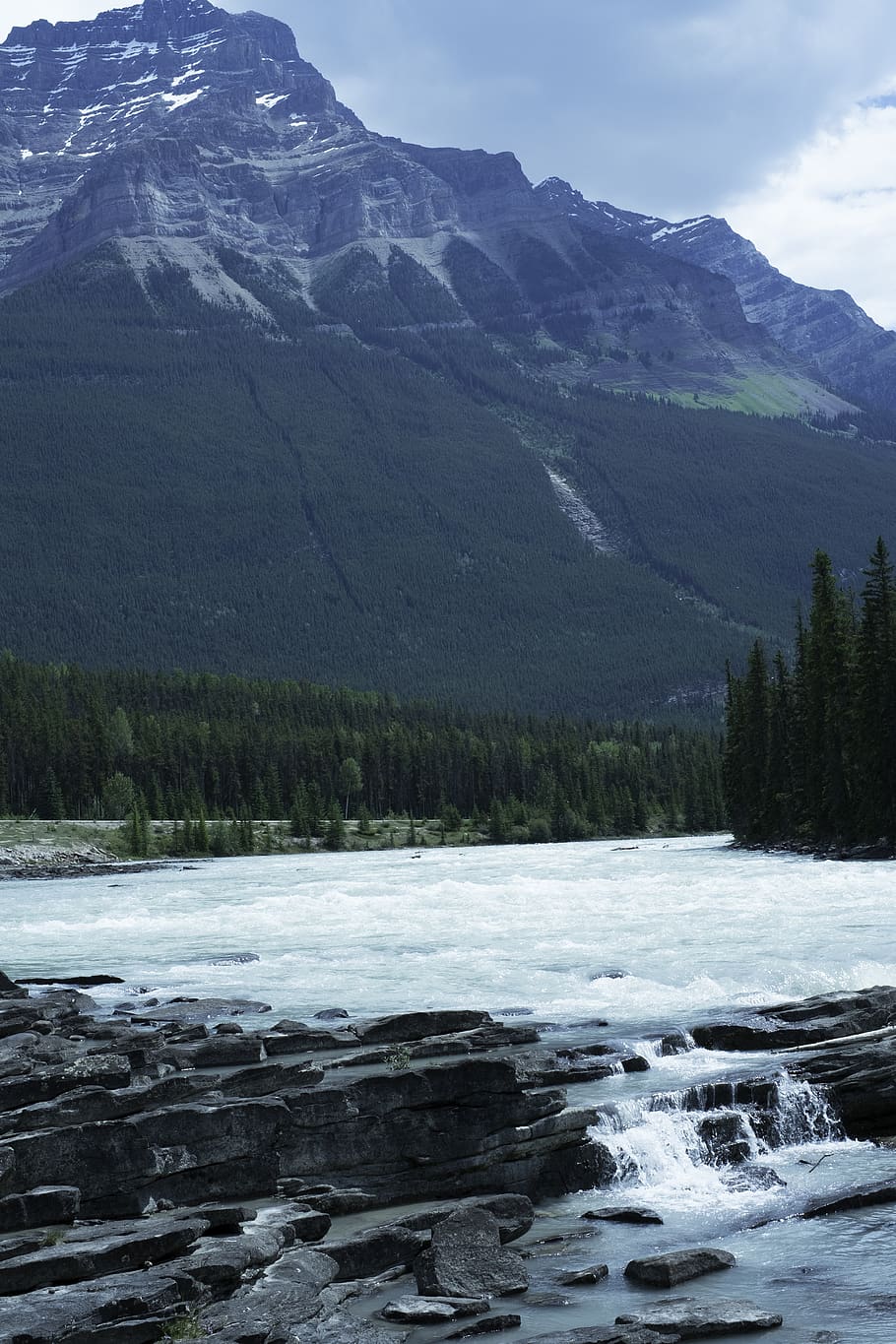 trees, forest, nature, mountain, outdoor, river, glacier, water HD wallpaper
