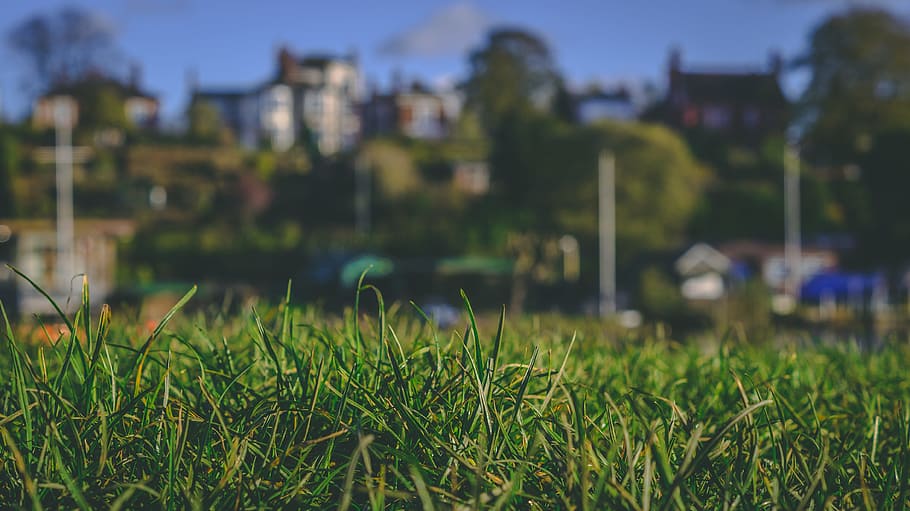 grass, landscape, closeup, sky, blue, green, boat, house, autumn HD wallpaper