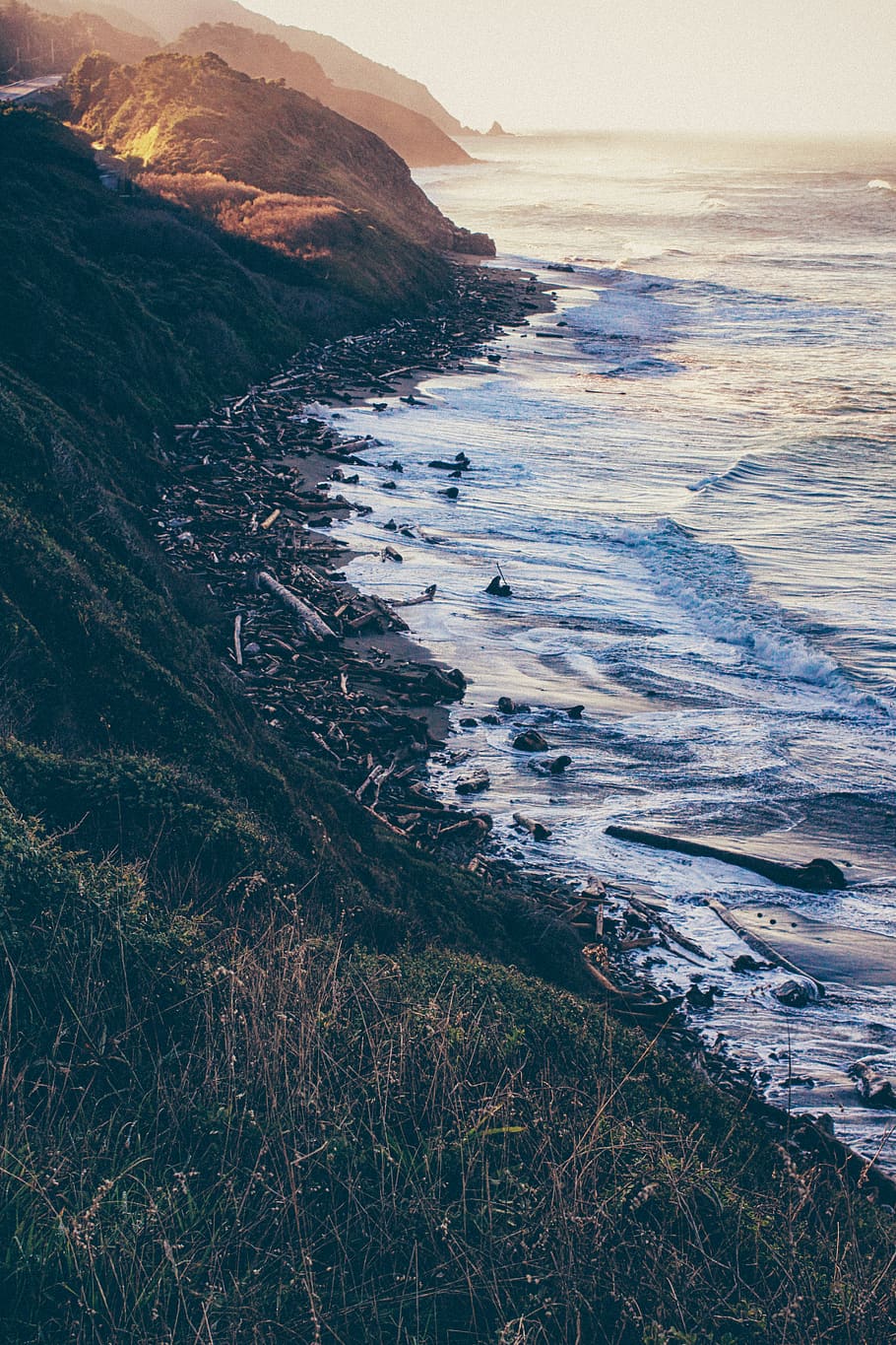 seashore with drift woods, ocean, coast, grass, united states HD wallpaper