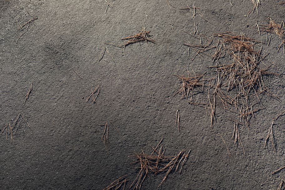 ground, asphalt, sunlight, grass, no people, textured, nature HD wallpaper