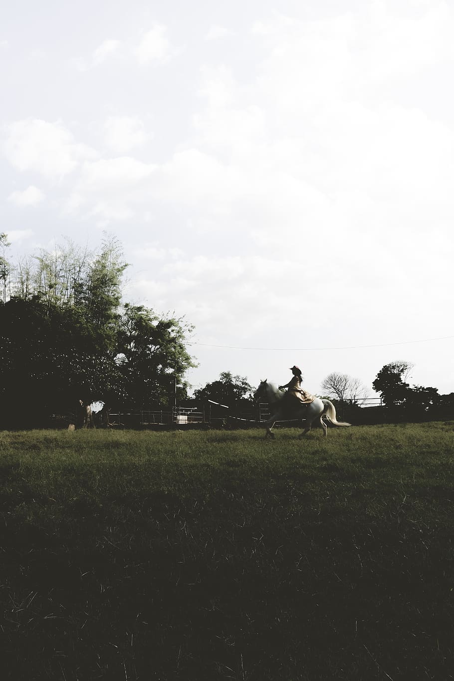trees, horses, ride, mood, fun, dark, sky, cowgirl, girls, shadows HD wallpaper