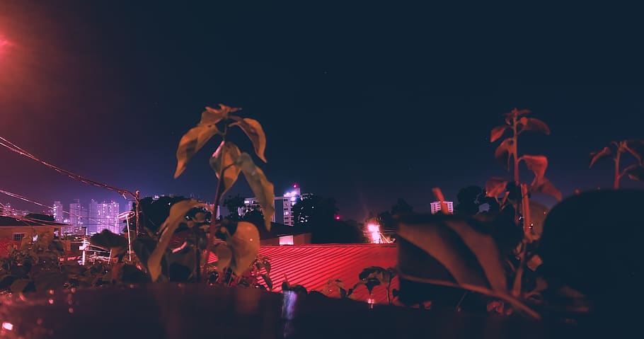 view, leaves, plants, sky, night, buildings, roof, town, panama HD wallpaper