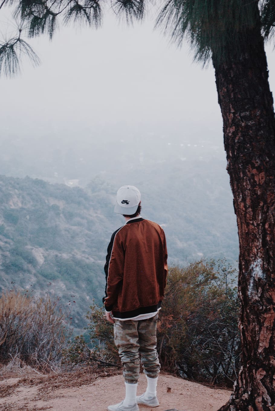 man standing near tree, person, human, clothing, apparel, nature HD wallpaper