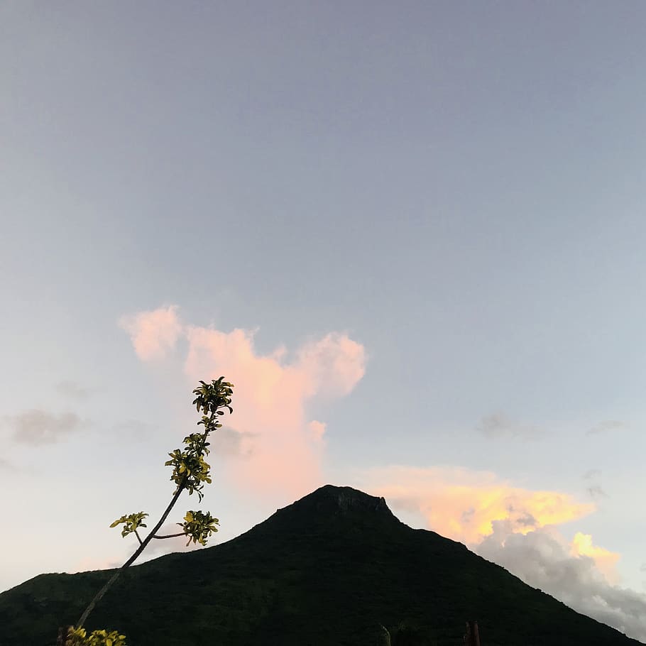 mountain, tree, sky, clouds, easy, way, out, beauty in nature HD wallpaper
