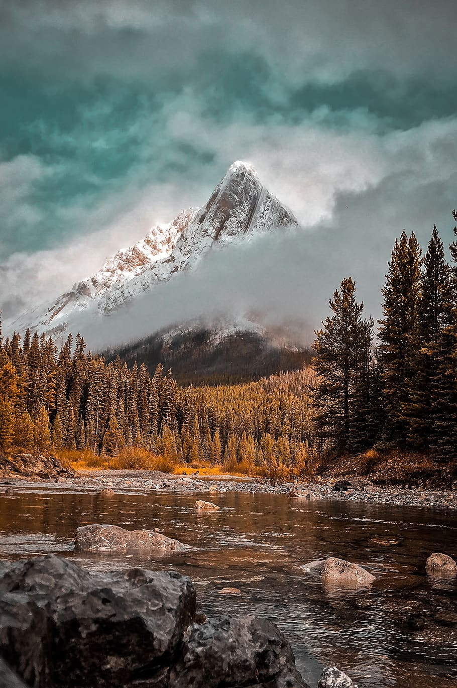 canada, mount assiniboine, tree, mountain, sky, detail, red HD wallpaper