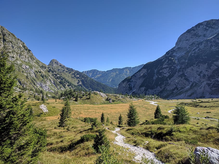 mountain, mountains, mountain forest, mountain view, green mountains HD wallpaper
