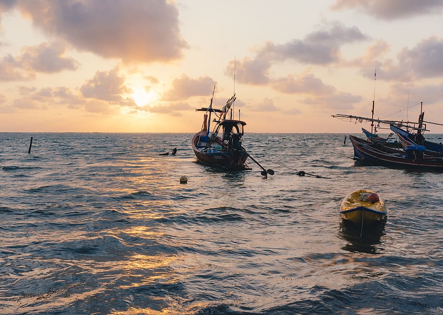 thailand, ko samui, seaside, samule, boat, travel, sunrise HD wallpaper