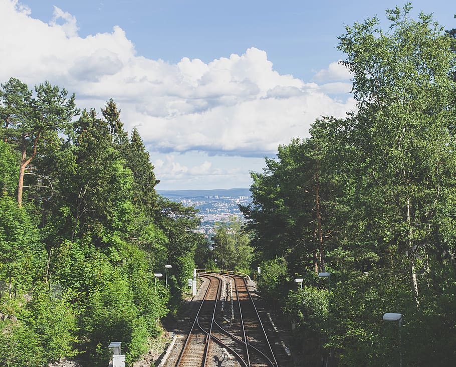 oslo, norway, train, railway, norwey, green, blue, sky, nature HD wallpaper