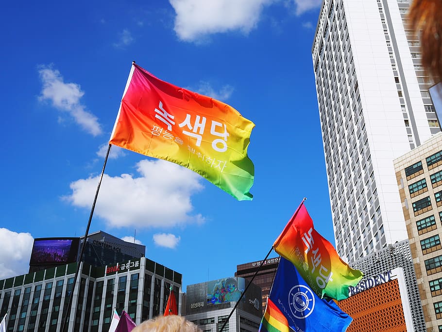 assorted-color flags by the buildings, symbol, person, human HD wallpaper