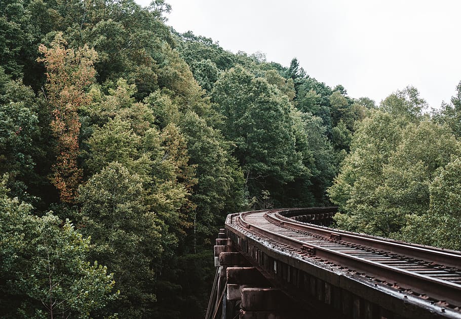 train, trees, forrest, railroad, bridge, fall, sunset, adventure HD wallpaper