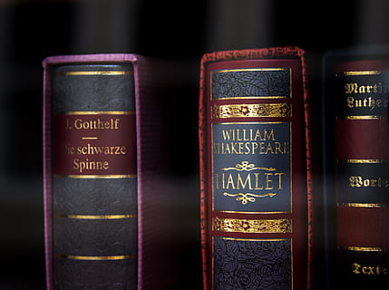 assorted-title books, beverage, drink, alcohol, liquor, wine HD wallpaper