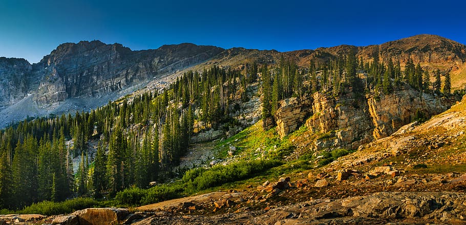 Landscape Photography of Mountain With Trees, daylight, environment HD wallpaper