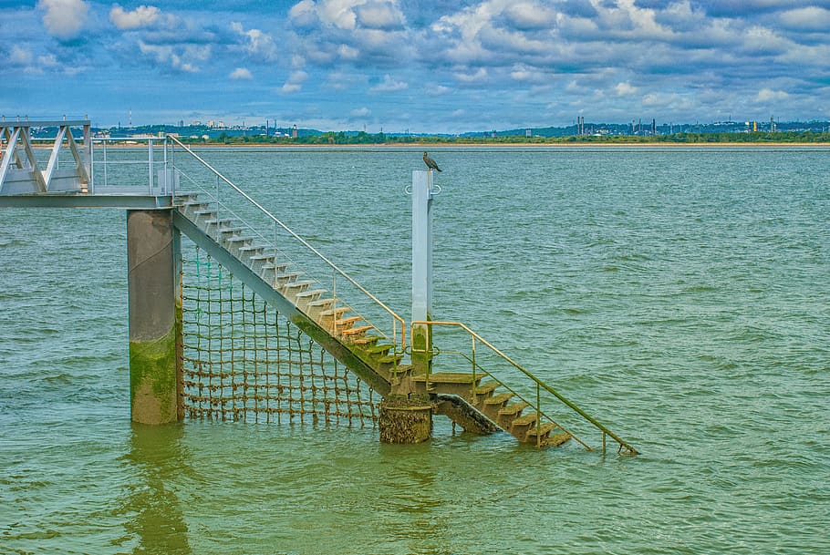 sea, bridge, bird, sky, ocean, port, nature, landscape, side HD wallpaper
