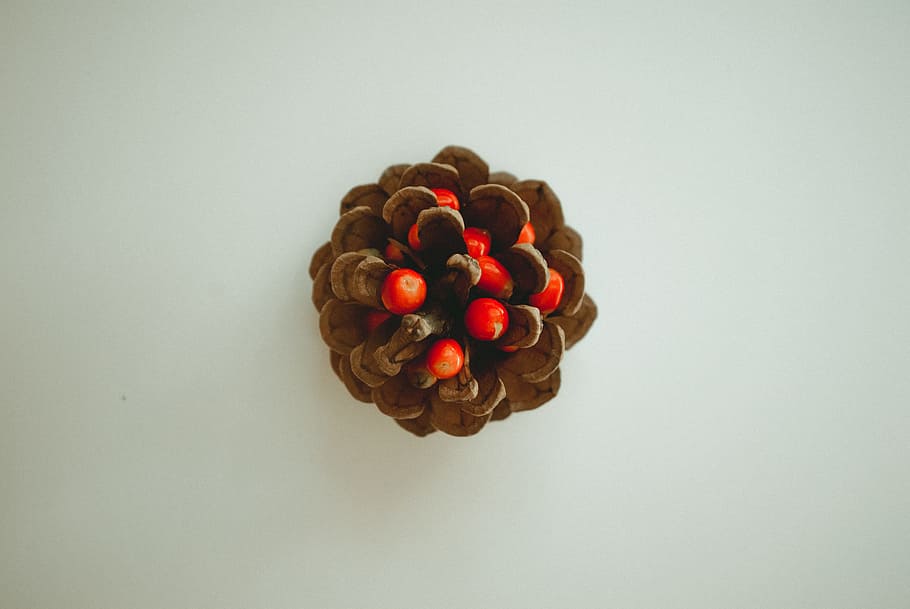 Pine Cone Decor, berries, bright, close-up, colors, delicious HD wallpaper