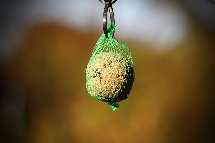 bird seed, fat balls, winter, web, food, hang, eat, feed, depend HD wallpaper