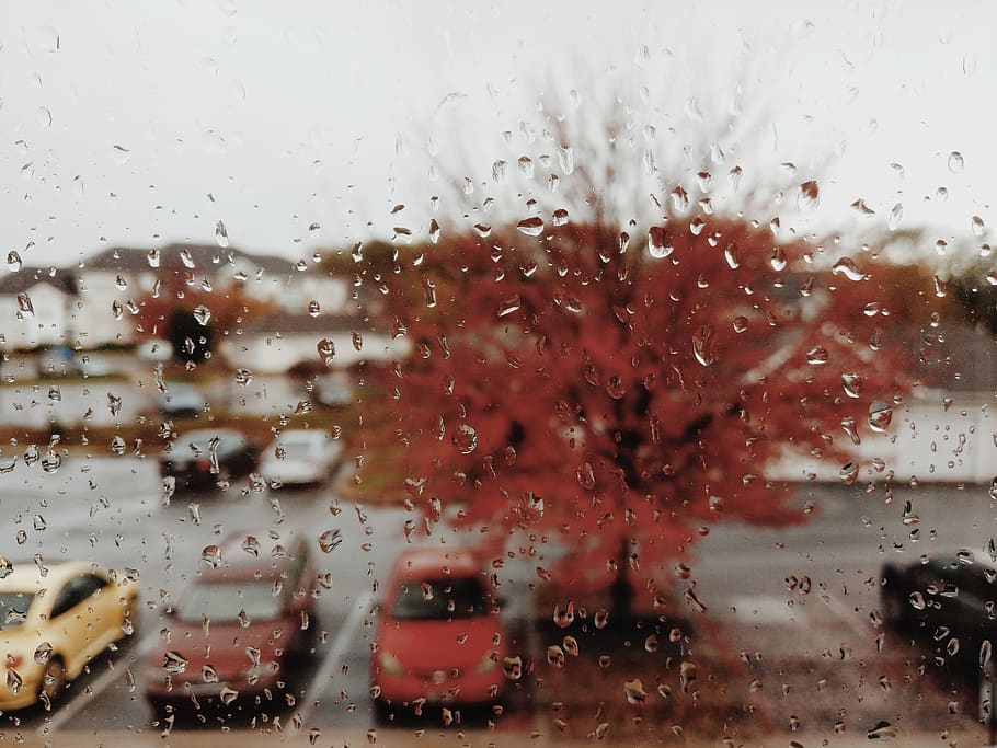 rain, tree, parking, drop, wet, glass - material, transparent HD wallpaper