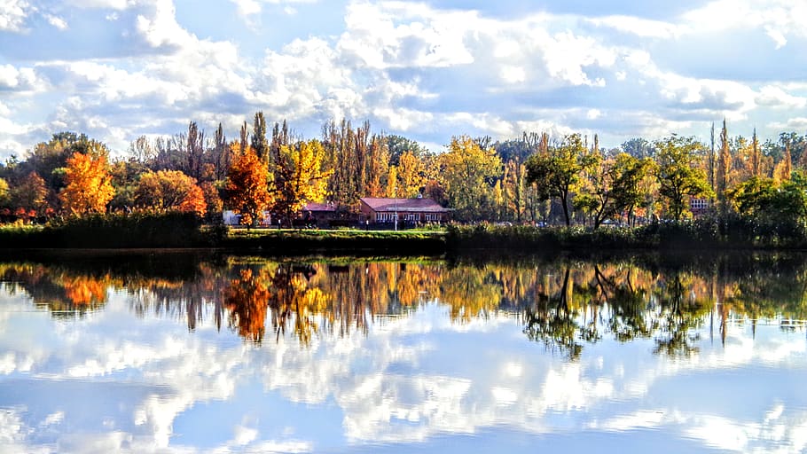color, autumn, trees, reflection, water, plant, lake, cloud - sky HD wallpaper