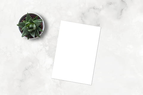 marble, mockup, flatlay, ecommerce, blank, paper, ceramic, marketing HD wallpaper