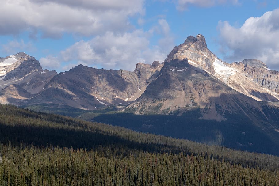 canada, mount schaffer, mountain, forest, glacier, scenics - nature HD wallpaper