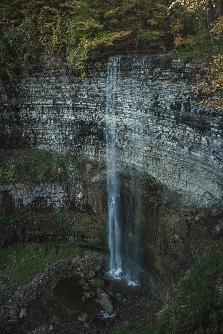 canada, dundas, webster falls, forest, tree, trees, water, rocks HD wallpaper