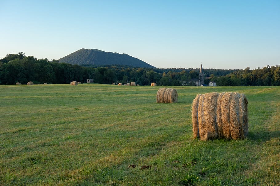 field, fields, prairie, hill, agriculture, rural, landscape HD wallpaper