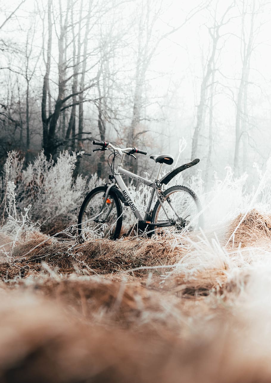 gray bicycle on brown grass during daytime, transportation, vehicle, HD wallpaper