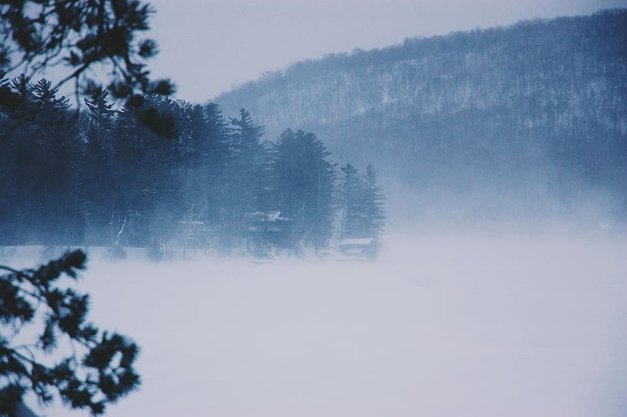 fogs surrounding forest during daytime, nature, outdoors, weather HD wallpaper