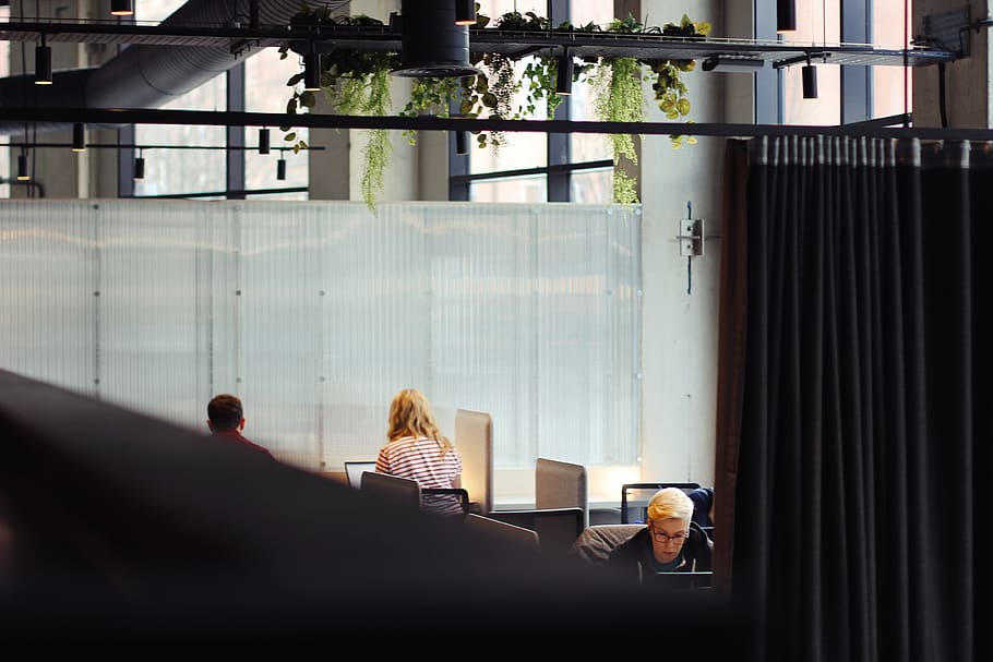 people using laptops inside building, person, human, indoors HD wallpaper