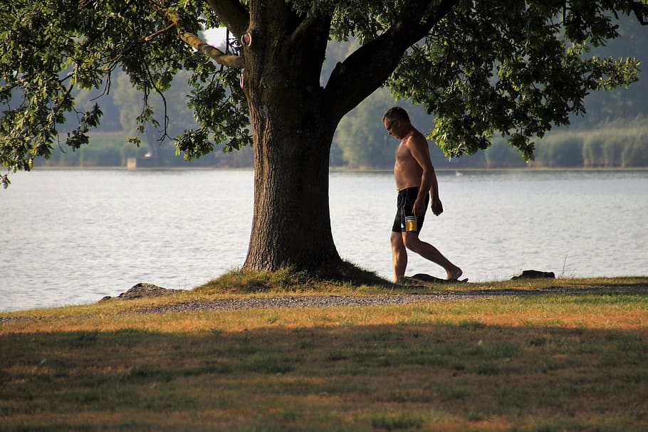 summer, lake, view, hot, heat, water, tree, man, spacer, step HD wallpaper