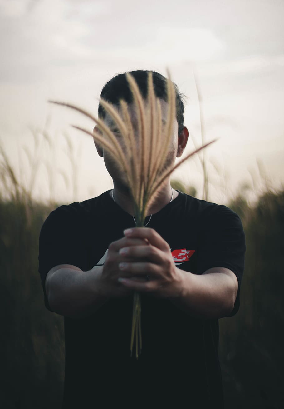 indonesia, bangka belitung islands, grass, hand, human, people, HD wallpaper