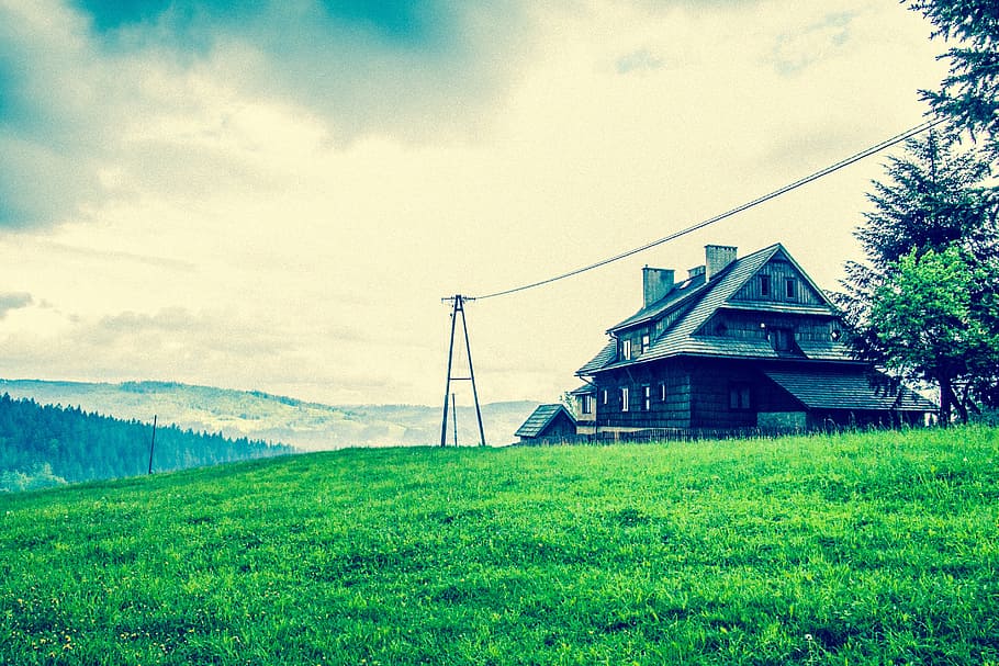 landscape, tree, nature, grass, horizon, cloud, sky, field HD wallpaper