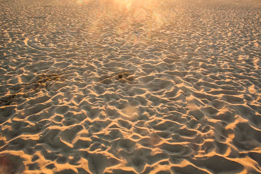 beach, sand, footprints, summer, sunshine, backgrounds, land HD wallpaper