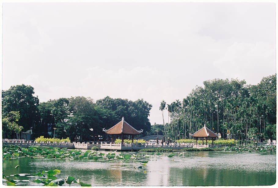 green trees lot, outdoors, nature, water, building, rural, countryside HD wallpaper