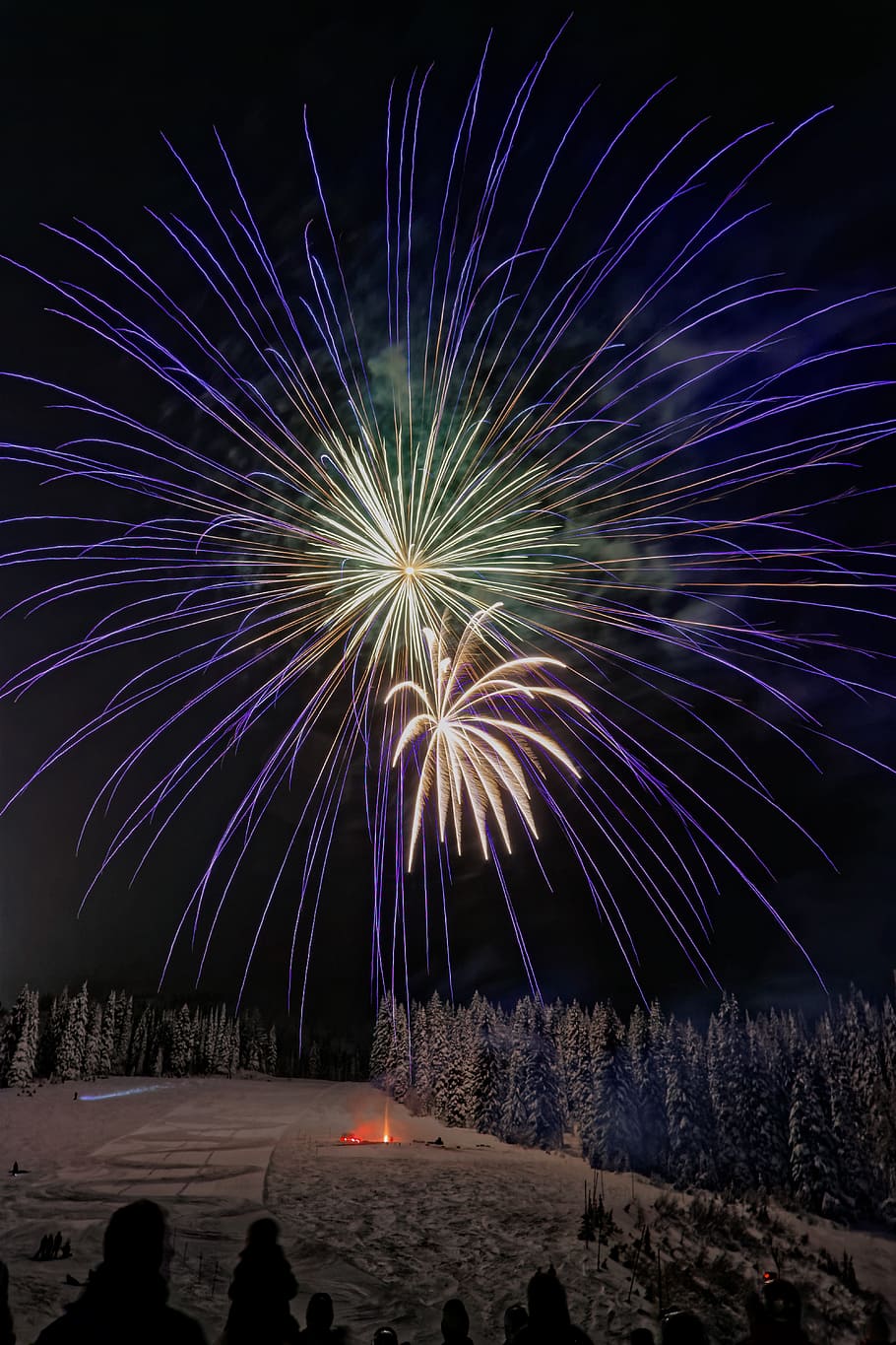 firework during nighttime, tree, long exposure, outdoors, dark HD wallpaper