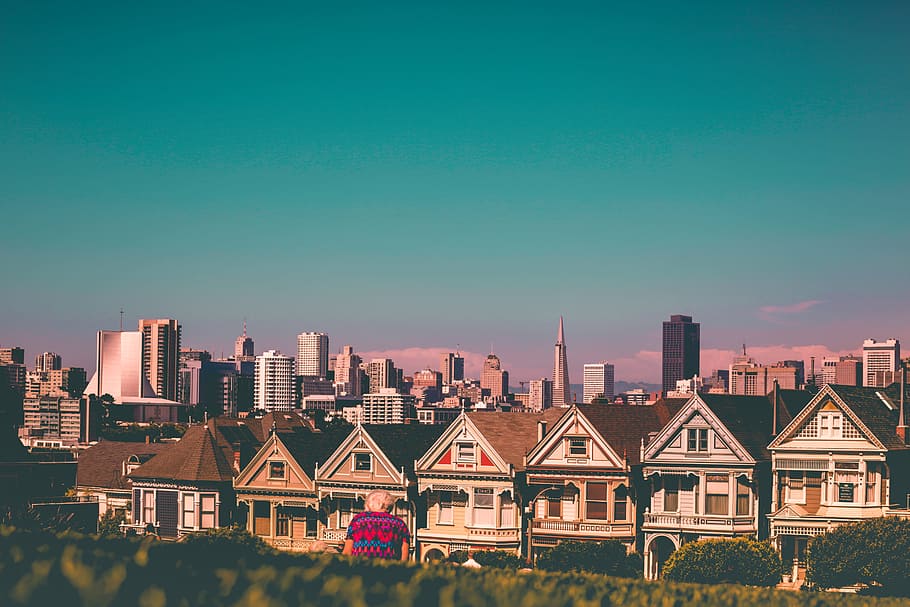 brown and white concrete house, city, grass, park, painted ladies