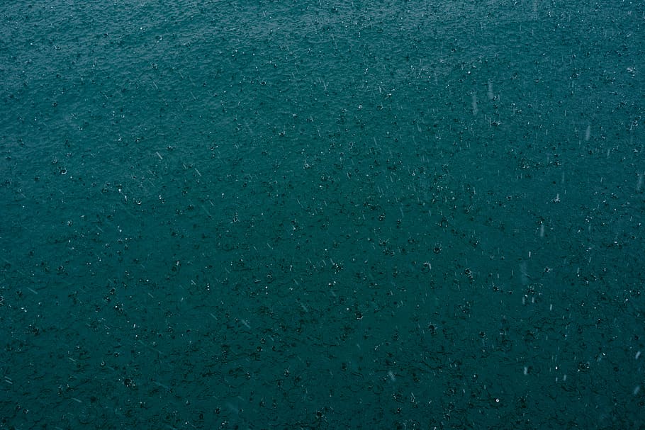 rain dropping, backgrounds, full frame, textured, green color HD wallpaper