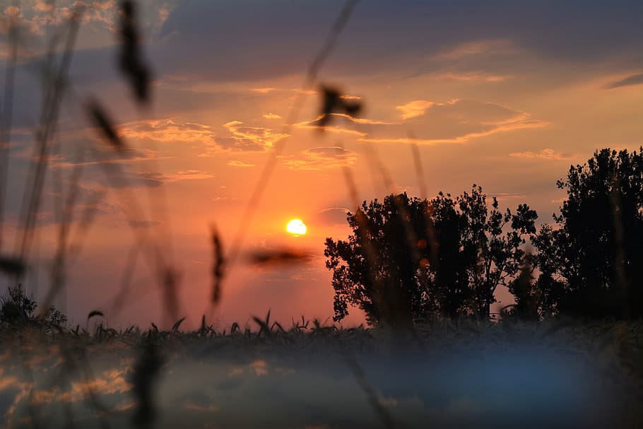sunset, romantic, twilight, sky, mood, in the evening, figure HD wallpaper