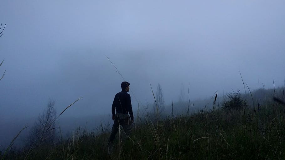 ecuador, quito, one person, real people, plant, grass, standing HD wallpaper