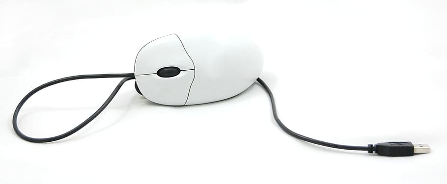 White and Black Corded Computer Mouse on White Background, components HD wallpaper