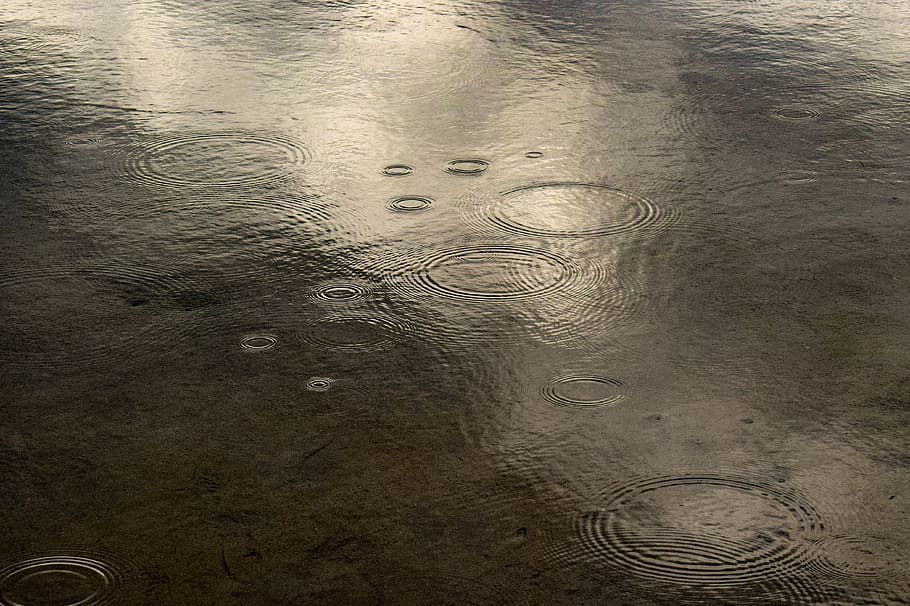 rain, circles, water, nature, reflection, autumn mood, reflections HD wallpaper